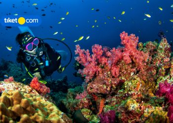 Tempat Diving di Bali