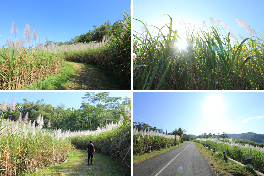 Destinasi Instagramable Jogja