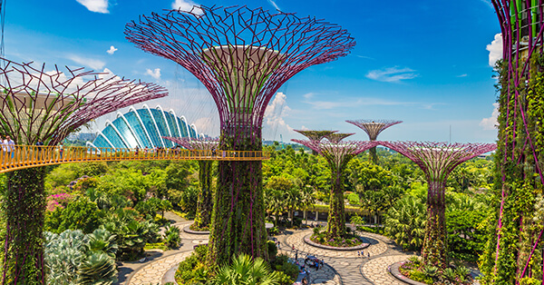 Tempat Wisata Singapura dalam Film Crazy Rich Asians - Garden By The Bay