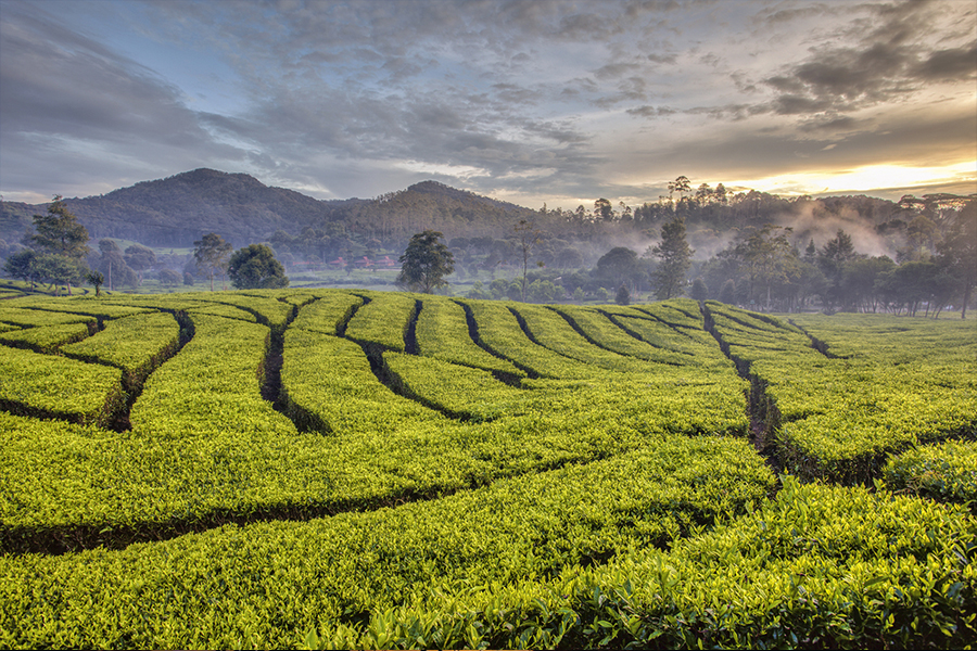 Tempat Wisata Terpencil di Indonesia