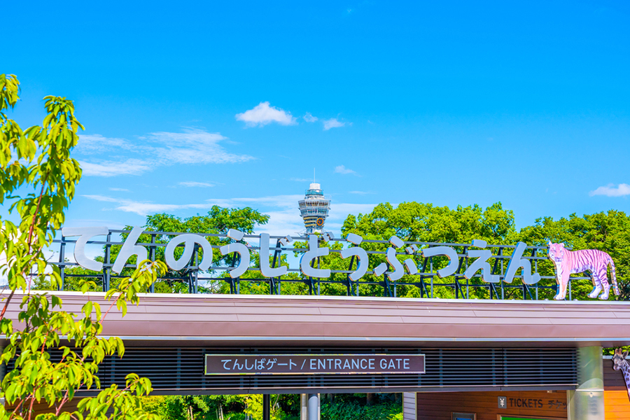 Tempat Wisata di Osaka