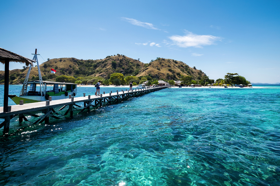 flores destination