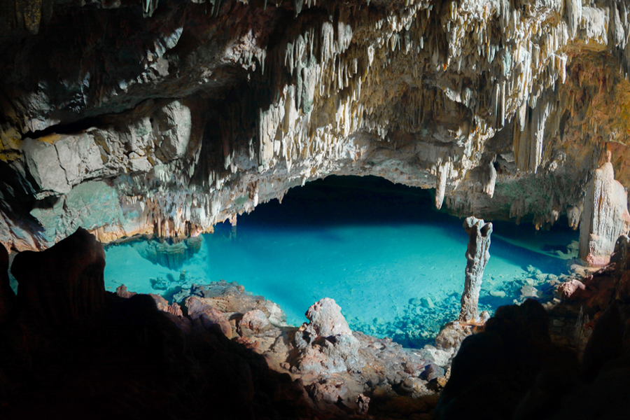 flores best nature destination