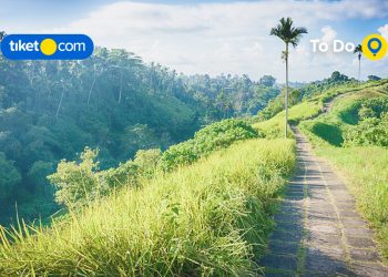 Daya Tarik Ubud Bali