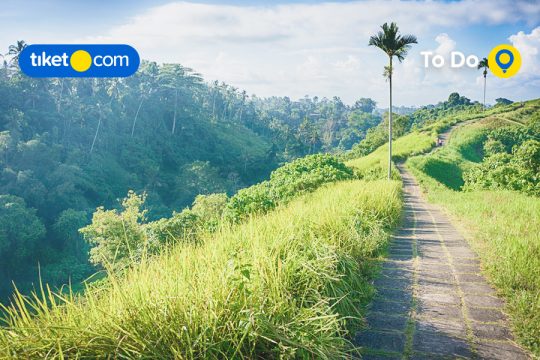 Daya Tarik Ubud Bali