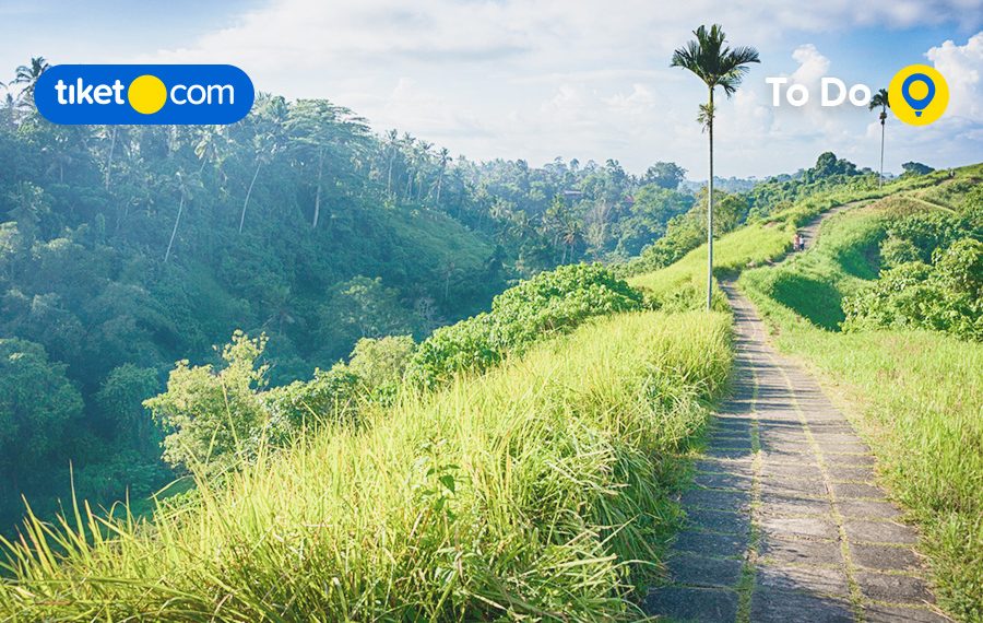 Daya Tarik Ubud Bali