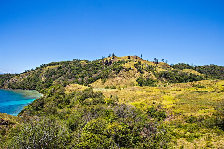 pulisan hill