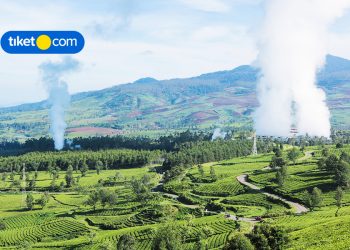 Wayang Windu Panenjoan, Wisata Kebun Teh Cantik Pangalengan Serasa di Swiss Lokal!