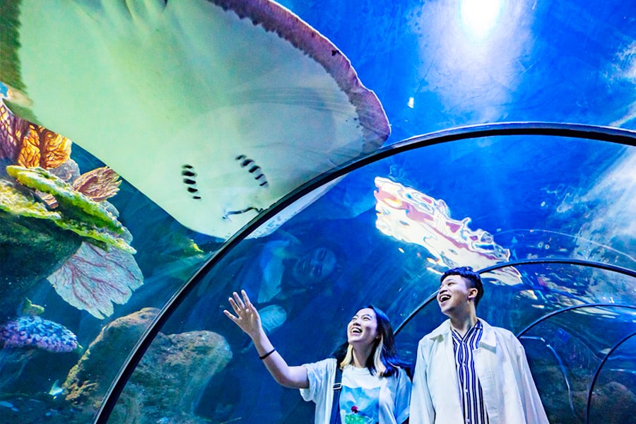 educational attractions jakarta