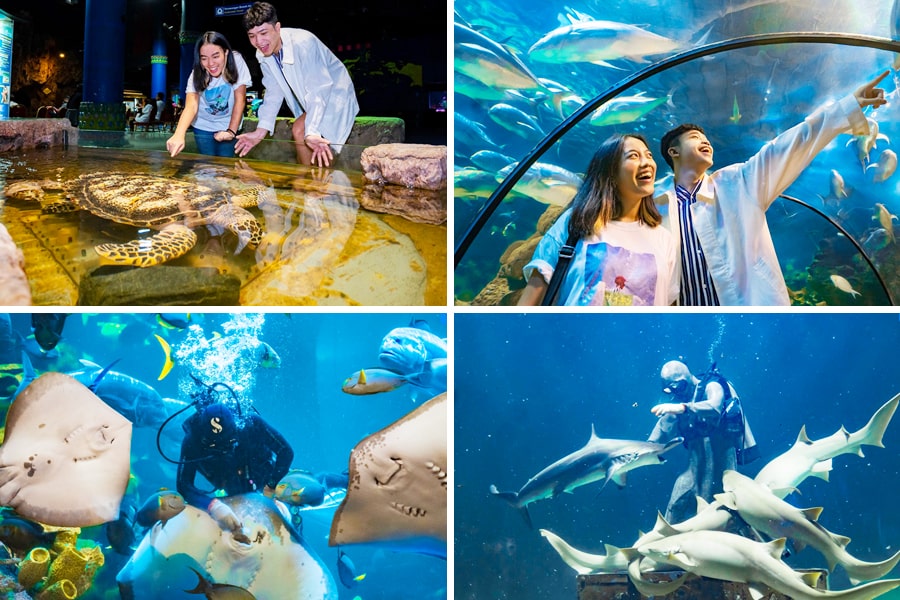 educational attractions jakarta