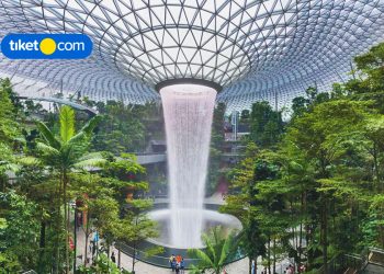 Explore These 8 Fun Activities That You Can Do at Changi Airport!