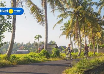 Looking for Some Excitement on Your Next Holiday to Bali? Go on a Cycling Trip!