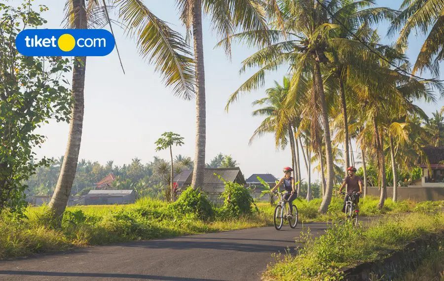 Looking for Some Excitement on Your Next Holiday to Bali? Go on a Cycling Trip!