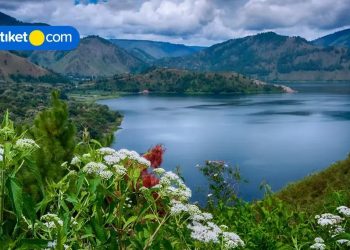 10 Budget-friendly Hotels in Medan and What to Do Around the City
