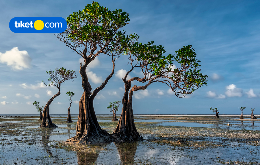 9 Indonesia’s Trending Destinations to Explore in 2020