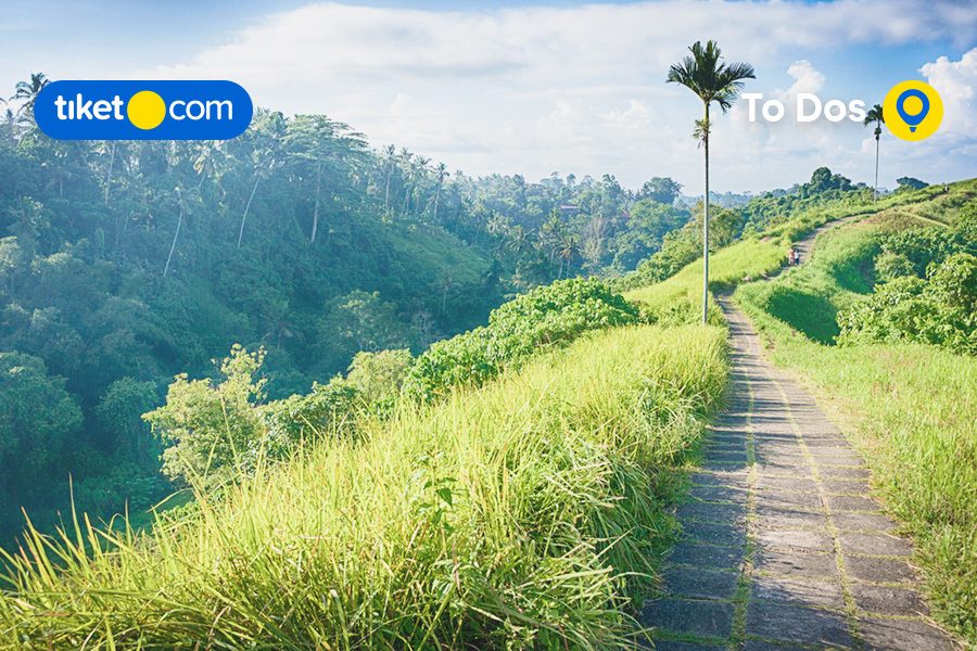 Ubud with All its Special Attractions, Truly a Slice of Paradise in Bali!
