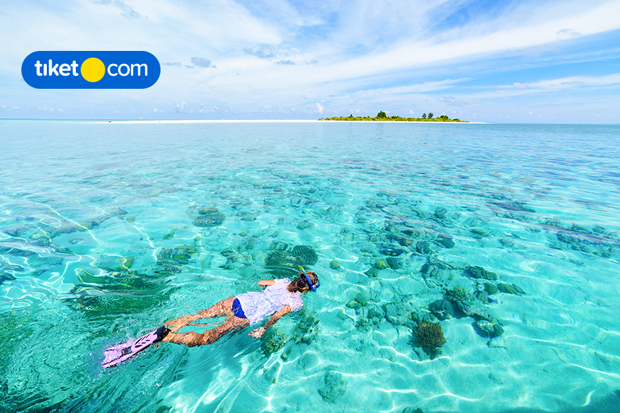 6 Top Things to do In Wakatobi Islands that You Can Try
